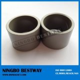 N45sh Ring Shaped Oil Filter Magnet