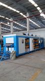 Zs-5567 Thin Gauge Plastic Forming Machinery