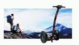 Jking Electric Unicycle/ Quad Bike/ Electric Car/ Electric Vehicle