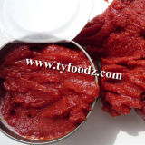 Factory Supply High Concentrated 70g-4.5kg Canned Tomato Paste
