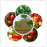 Fulvic Acid Organic Fertilizer