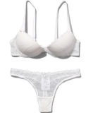 Lace Embroidered Bra and Brief Set