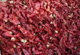 New Crop High Quality for Sale Xian Chili