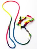 Colourful Pet Collar/Leash/Pet Products