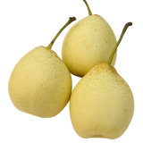 Export High Quality Fresh Ya Pear