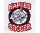 Embroidery Digitizing