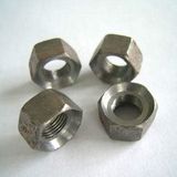 Hex Nut DIN934