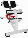 Fitness Equipment for Hyperextension (FW-2006)