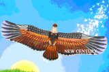Whistling Eagle Kite (Z-ZX0201)