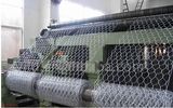 Galvanized Hexagonal Wire Mesh Netting