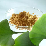 Ginkgo Biloba Extract Plant Extract Powder