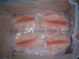 Frozen Tilapia Fillet