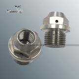 Non Standard Customized Screw, Bolt, Special Fastener (FB008)