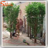 Evergreen Indoor Decoration Fiberglass Artificial Plant