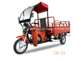 Zongshen Design Cargo Tricycle with EEC (TR-15)