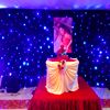 LED Star Curtain