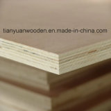 Decorative and Furniture Sapele Bb/Cc Commercial Plywood