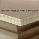 Decorative and Furniture Sapele Bb/Cc Commercial Plywood