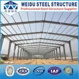 High Quality Steel Structure (WD101516)