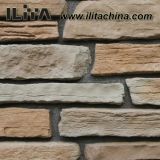 Cultured Stone Artificial Stone Wall Tile Ledgestone (YLD-50011)