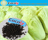 Cocoly Organic Components Nutrition Distribution Water Soluble Fertilizer