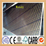 Logo Available 12-18mm Building Material Construction Scaffold Plywood