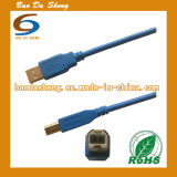 USB Bm Cable