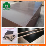 Film Faced Plywood for Africa Market