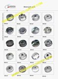 Wenzhou Shenfeng Imp. & Exp. Co., Ltd.