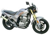 300CC Racing Motorcycle (FPM300E-B)