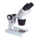 Stereo Microscope (XTX-5A-W)