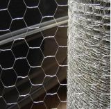 Galvanized Hexagonal Wire Netting (JH128)