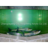 Acrylic Fish Aquarium