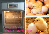 Eggs Hatching Machine/Eggs Incubator