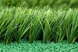 Artificial Lawn