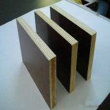 Construction Plywood, Joint-Finger Film Faced Plywood, Commercial Plywood,