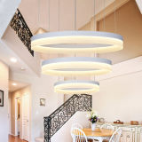 Characteristic & Adjustable LED Ceiling Lamp Lighting