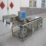 High Capacity Vegetable&Fruit Washing Machine