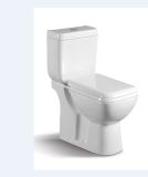 China Two-Piece Toilet CE-T196