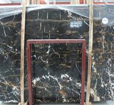 Black Gold Flower Granite for Countertop /Kitchen Countertop