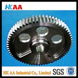 Large Spur Gear, Steel Spur Gear, High Precision Spur Gear