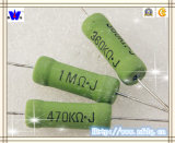 Rx21 Coating Fixed Resistor with RoHS