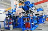 Special Type of Silicone Rubber Vulcanizing Machine for Oil Seal