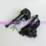 High Quality Motorcycle Parts Handle Switch for Ax-100