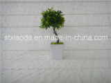 Artificial Mini Bonsai (XD14-9)