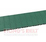 Straight Modular Conveyor Belt for Can Industry with FDA Certificate