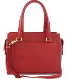 2015 Stylish Fashionable Lady Handbag Leather Bag (LDO-15123)