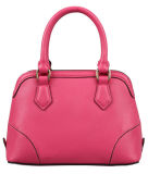 Classcial Fashion Leather Products Ladies Handbag (LDO-15113)