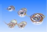 Toroidal Transformer