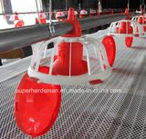 Automatic Broiler Feeding and Drinking Equipment